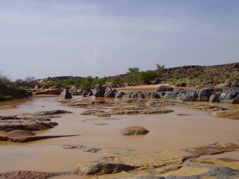 27.	Paisaje de Tidjikja (Mauritania, 2005)