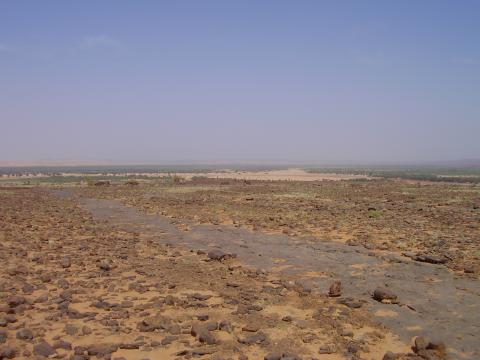 35.	Paisaje de Tidjikja (Mauritania, 2005)