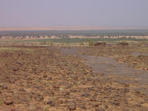 36.	Paisaje de Tidjikja (Mauritania, 2005)