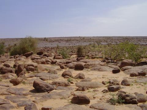 37.	Paisaje de Tidjikja (Mauritania, 2005)