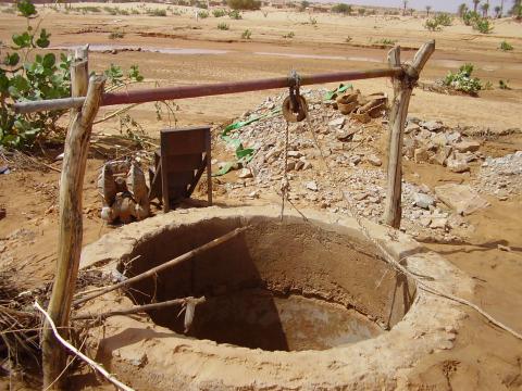 43.	Usos y costumbre de Tidjikja (Mauritania, 2005)