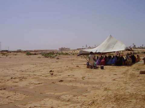 47.	Usos y costumbre de Tidjikja (Mauritania, 2005)