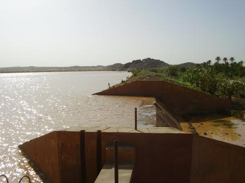 50.	Usos y costumbre de Tidjikja (Mauritania, 2005)