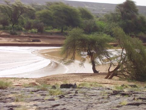 58.	Usos y costumbre de Tidjikja (Mauritania, 2005)