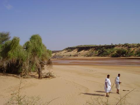 59.	Usos y costumbre de Tidjikja (Mauritania, 2005)