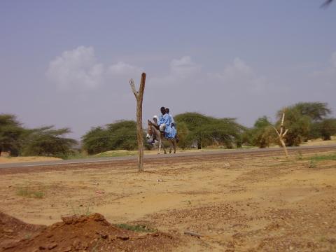 62.	Usos y costumbre de Tidjikja (Mauritania, 2005)