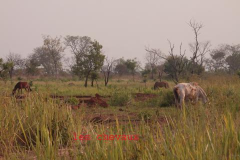 2. Imágenes de la República Centroafricana
