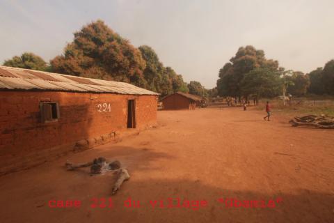 24. Imágenes de la República Centroafricana