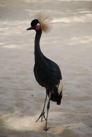19. Imágenes de Dakar, Senegal