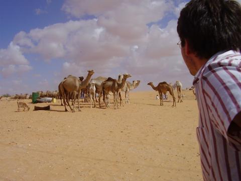 12. Imágenes de Butilimit, Mauritania