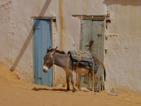 7.	Imagen de Chinguetti, Mauritania