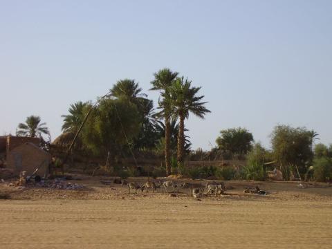 9.	Imagen de Chinguetti, Mauritania