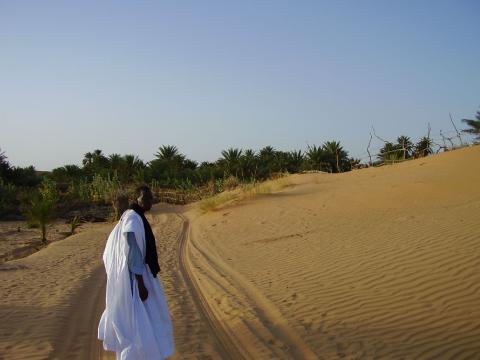 20.	Imagen del oasis Tkumkum en Chinguetti, Mauritania