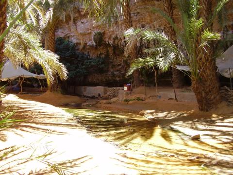 23.	Imagen de palmeral Tergit en Chinguetti, Mauritania