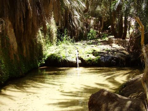24.	Imagen de palmeral Tergit en Chinguetti, Mauritania