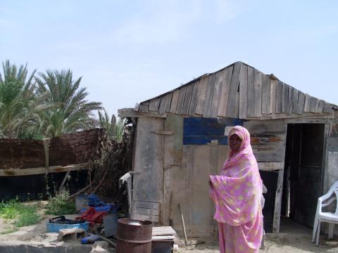 12. Imagen de un huerto en Nouadhibou, Mauritania
