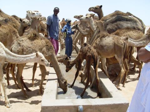 18. Imágenes de los bebederos de camellos, proyecto creado por MPDLC - Movimiento por la Paz, el Desarme y la Libertad en Canarias - en Boulaboir, Mauritania