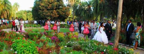 7. Imágenes de bodas en Addis Abeba, Etiopía