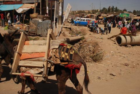 6. Imágenes de Addis Abeba, Etiopía