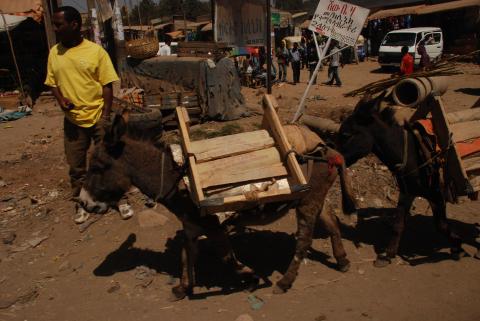 7. Imágenes de Addis Abeba, Etiopía