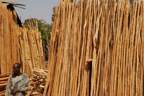 8. Imágenes de Addis Abeba, Etiopía