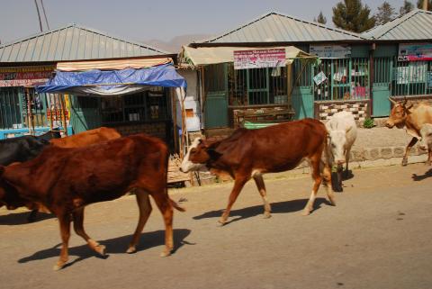 12. Imágenes de Addis Abeba, Etiopía