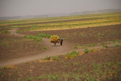 21. Imágenes de Addis Abeba, Etiopía