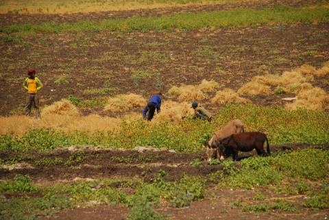 22. Imágenes de Addis Abeba, Etiopía