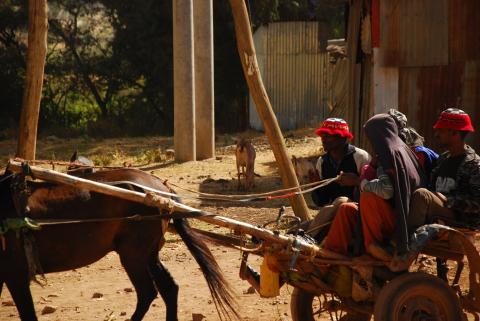 25. Imágenes de Addis Abeba, Etiopía