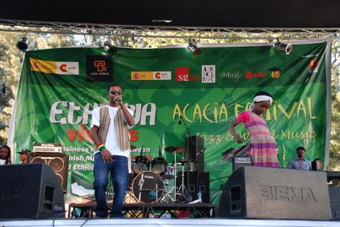 17. Actuaciones en el programa Ethiopia vis a vis organizado por Casa África