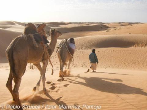 1. Atar. Excursion Camello a Lagueira