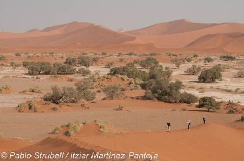 13. Sossusvlei