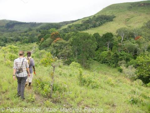 8. Lope Parque Nacional