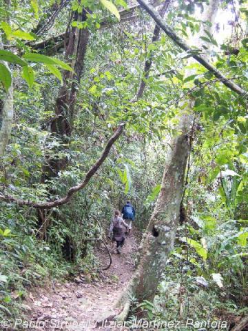8. Parque Nacional Marojejy