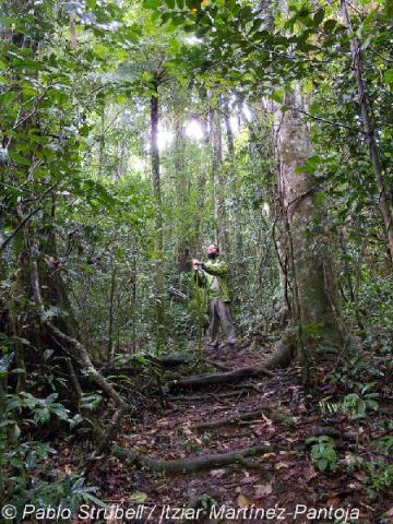 14. Parque Nacional Marojeji