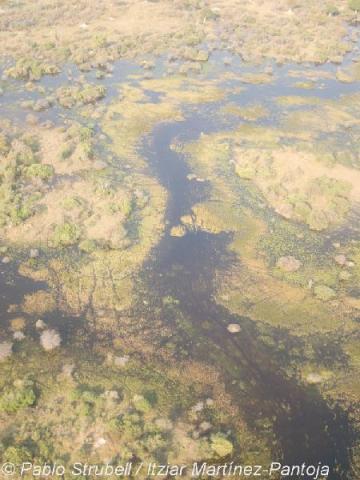 6. Okavango. Avioneta