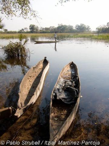 9. Okavango. Boro