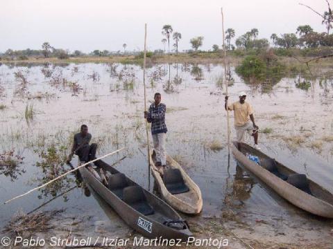 10. Okavango. Regreso al Campamento