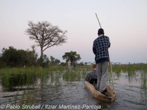 11. Okavango. Regreso al Campamento