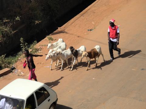 20. Imágenes de la ciudad de Bamako, Mali