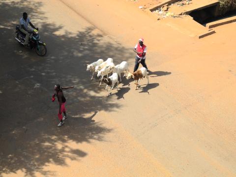 21. Imágenes de la ciudad de Bamako, Mali