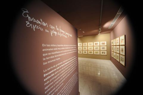 20. Imagen de la exposición en Casa África AEA Tubab: ¿África es así, m’zungu?, 2008