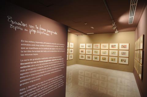22. Imagen de la exposición en Casa África AEA Tubab: ¿África es así, m’zungu?, 2008