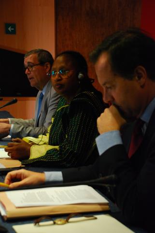 6. Intervención de Guillermo Ardizone García, Embajador de España en Guinea