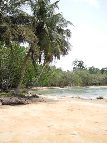 9. Imagen de Taki