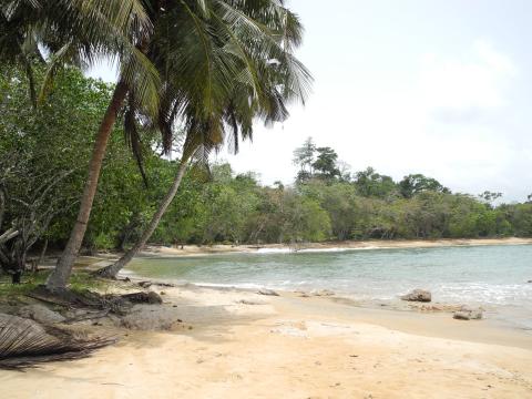 10. Imagen de Taki