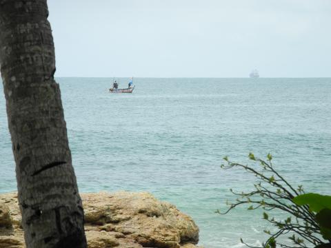 11. Imagen de Taki