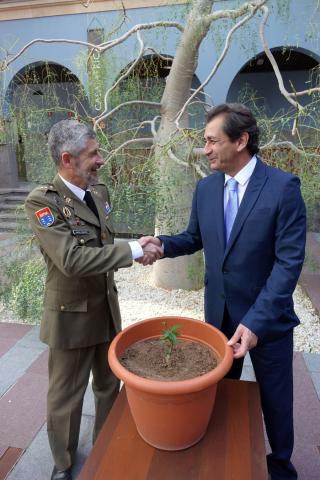 Un nuevo baobab para Casa África Un nuevo baobab para Casa África