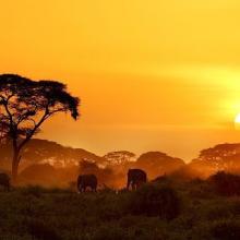 Contar África desde Europa