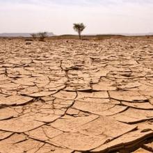 Emprendimiento verde en África